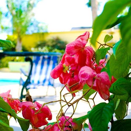 Golden Sands Hotel ไครสต์เชิร์ช ภายนอก รูปภาพ