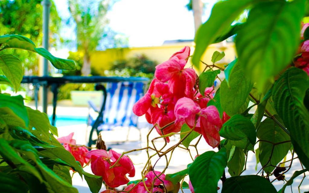 Golden Sands Hotel ไครสต์เชิร์ช ภายนอก รูปภาพ